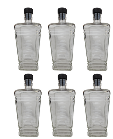 PACK OF 6 BOTTLES.png