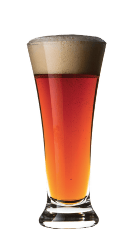 amber ale.png