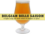 saison_extract_beer_recipe_kit_99822613-71d8-49fb-ab20-73a3181ed752.jpg