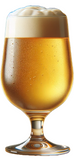 vienna lager (2).png